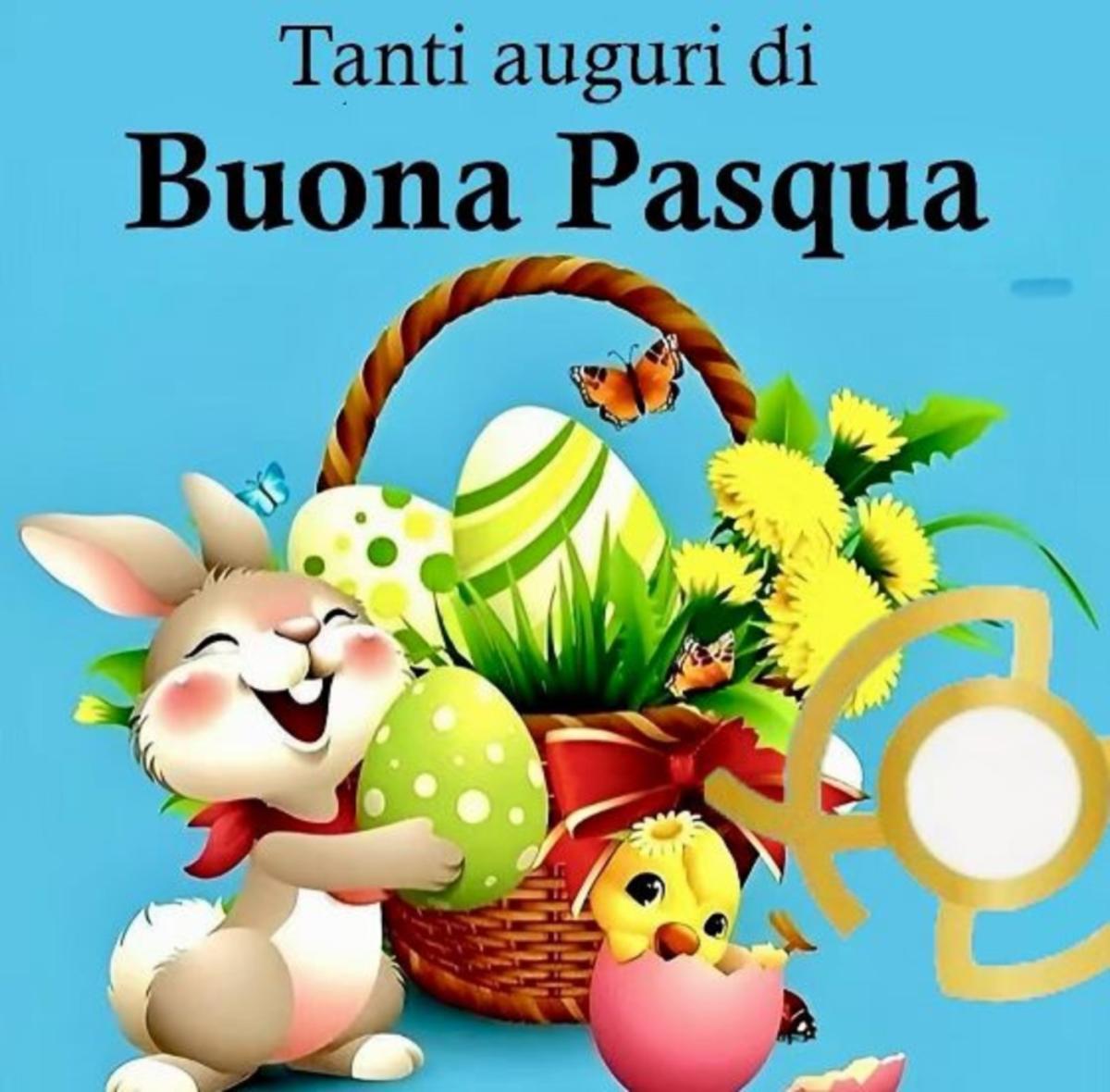 Immagine...